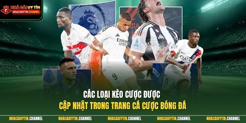 Trang Cá Cược Bóng Đá 3 Các loại kèo cược được cập nhật trong trang cá cược bóng đá