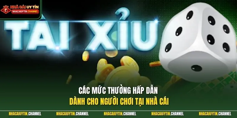 Tài Xỉu Online 3 Các mức thưởng hấp dẫn dành cho người chơi tại nhà cái