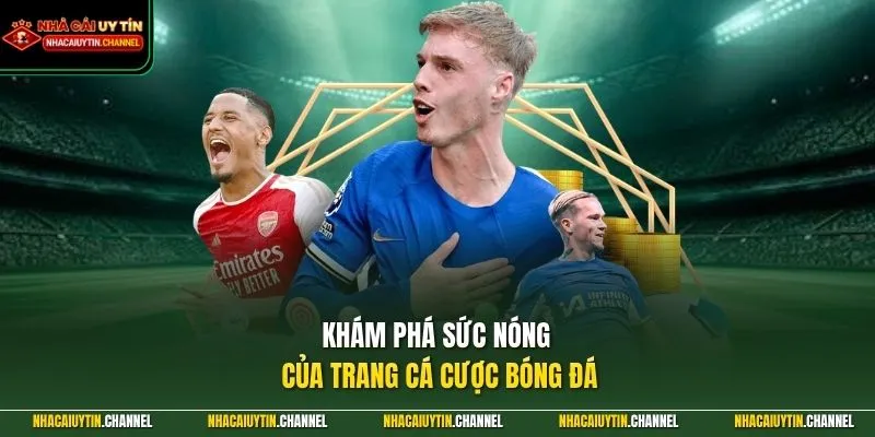 Trang Cá Cược Bóng Đá 1 Khám phá sức nóng của trang cá cược bóng đá