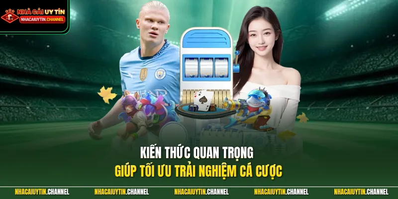 Kiến thức quan trọng giúp tối ưu trải nghiệm cá cược